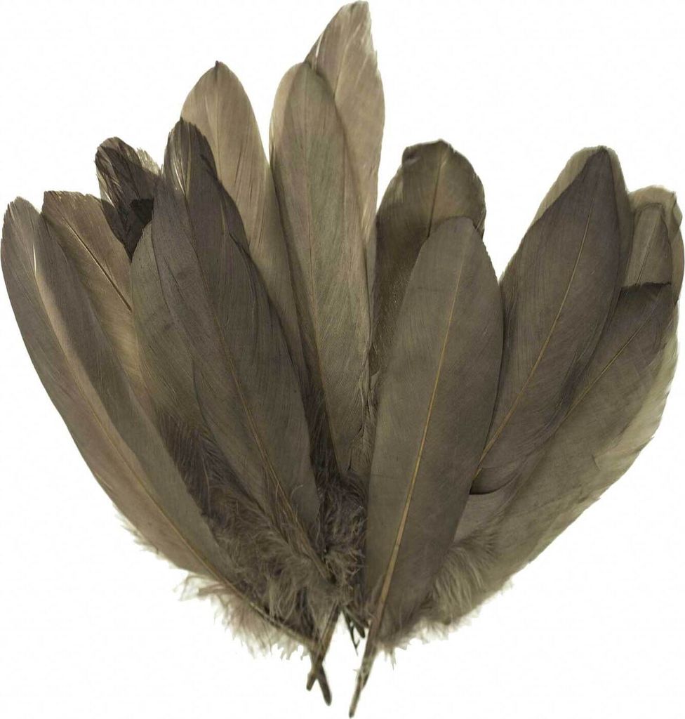 20 Entenfedern 15-21cm Bastelfedern Federn Dekofedern f. Hüte Kostüme Basteln