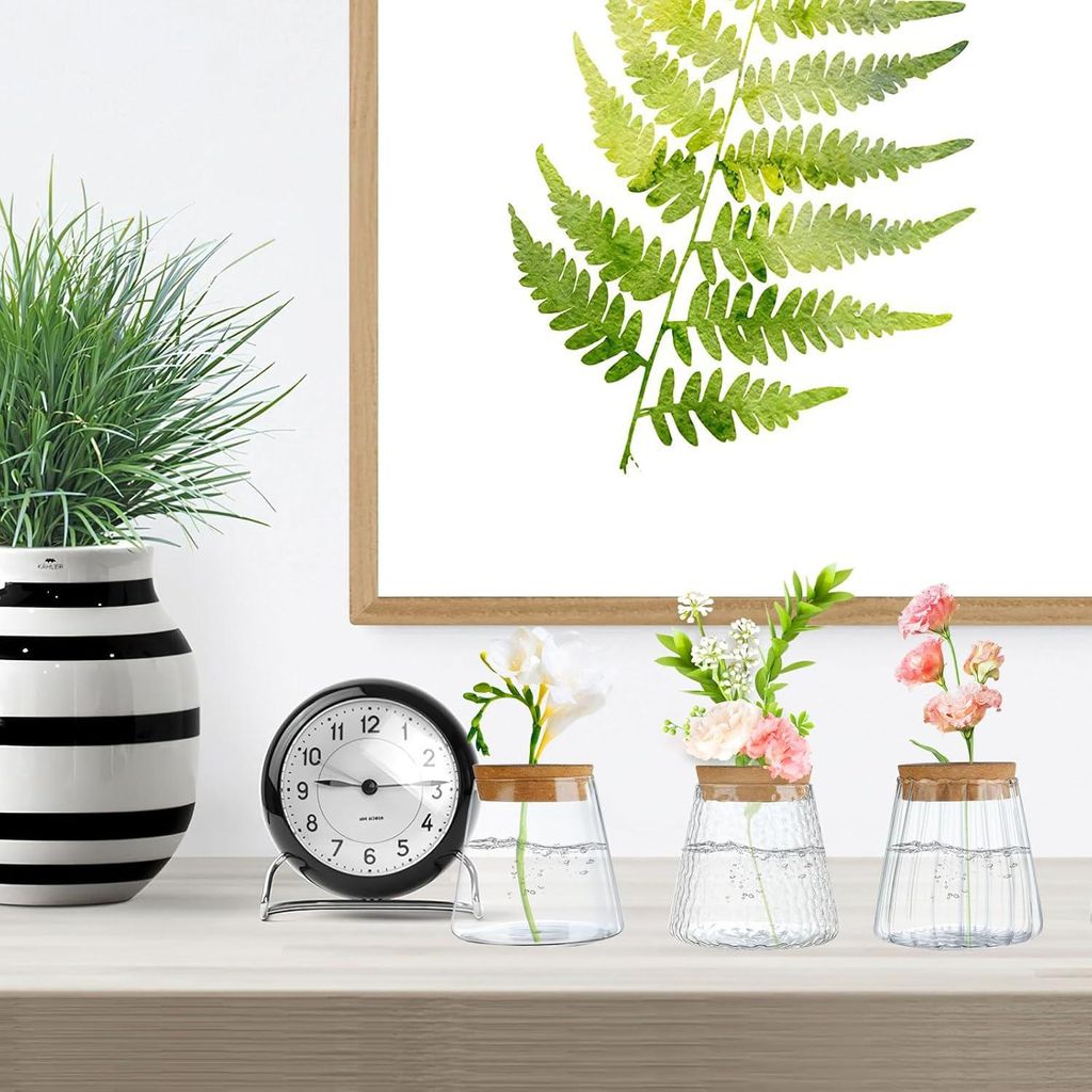 Glas Terrarium Vasen - Propagationsstation für Pflanzen - Set von 3 - Transparent - Glas mit Holzlip