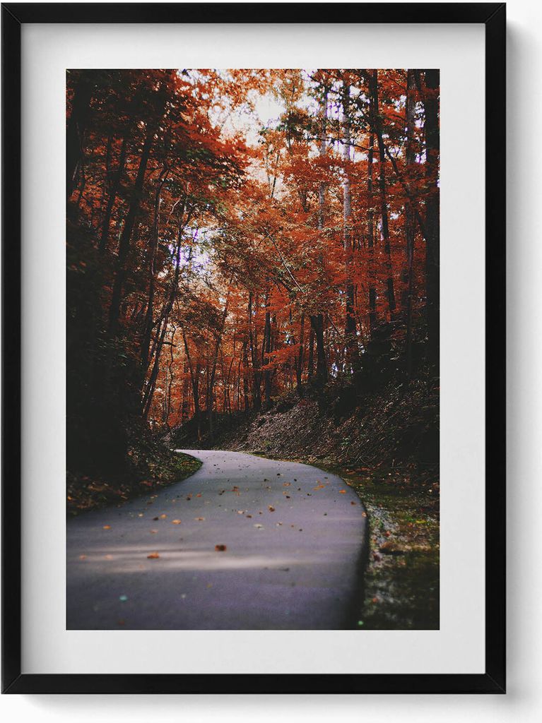 Leere Straße in einem Herbstwald– Wandbild mit Rahmen – Gerahmtes Bild – Wanddekoration – 50x70 cm – Schwarz Rahmen