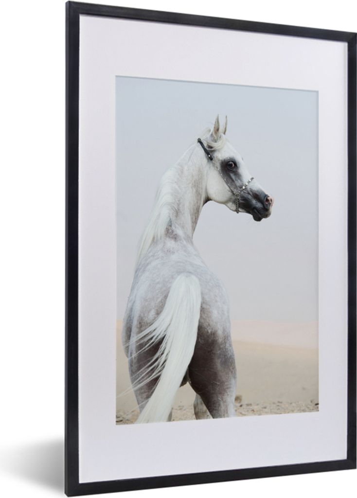 MuchoWow® MuchoWow® Gerahmtes Poster Pferd - Sand - Pastell Produktbild 