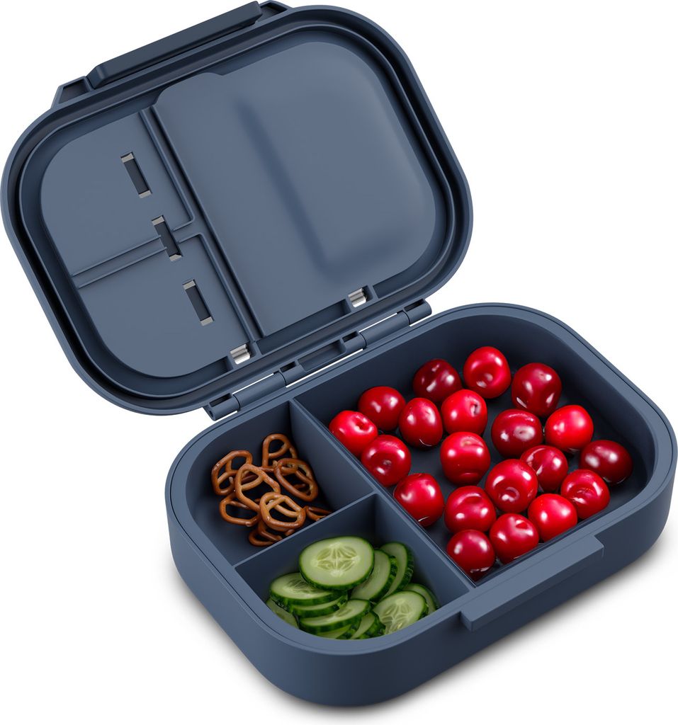 Schmatzfatz Lunchbox, Unterteilte Brotdose für Erwachsene & Produktbild 