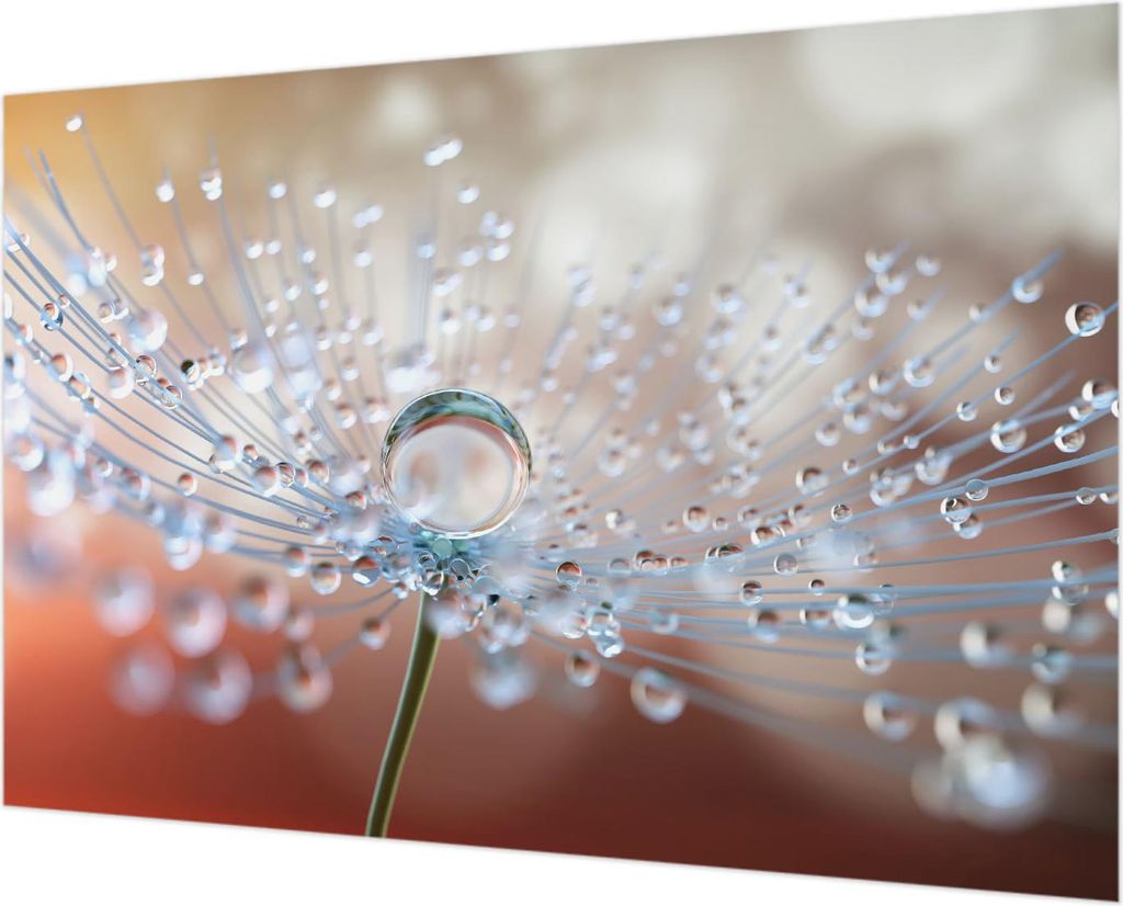 Wandtapete - Dekorative Tapete für Wohnzimmer - Tapetenfolie für Wanddekoration - 152x104 cm - Ein Tropfen auf einem Löwenzahn