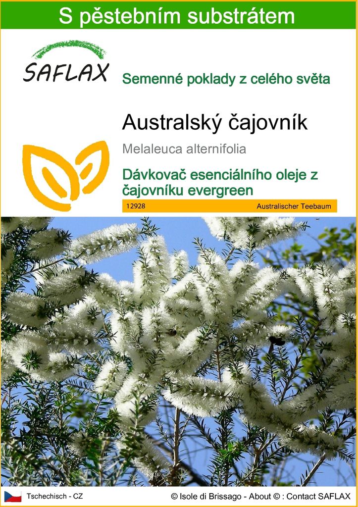 SAFLAX - Australský čajovník - Melaleuca alternifolia - 400 Obrázek produktu 