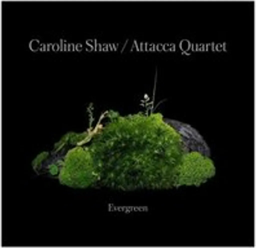 Caroline Shaw Evergreen Musique Relaxation et Méditation Haut de Gamme
