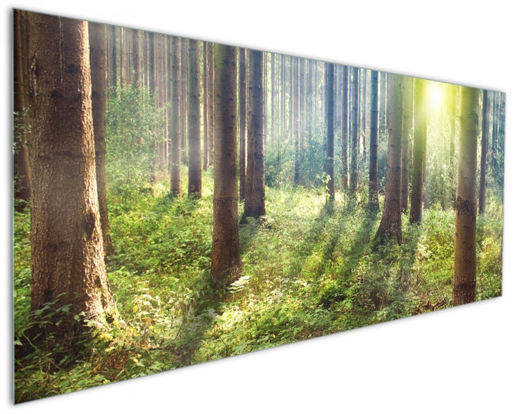 Wallario Küchenrückwand aus Glas, Größe: 125 x 50 cm, Motiv: Sonnenuntergang im Wald zwischen den Bäumen | Spritzschutz | abwischbar | pflegel...
