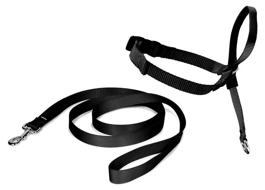 Nayeco Easy Walk Holder Führleine Schwarz L Schwarz L