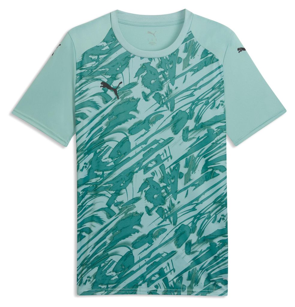 teamFINAL Graphic Jersey, Größe:164, Farben Serie Puma:Modern Mint-PUMA Black-Adriatic