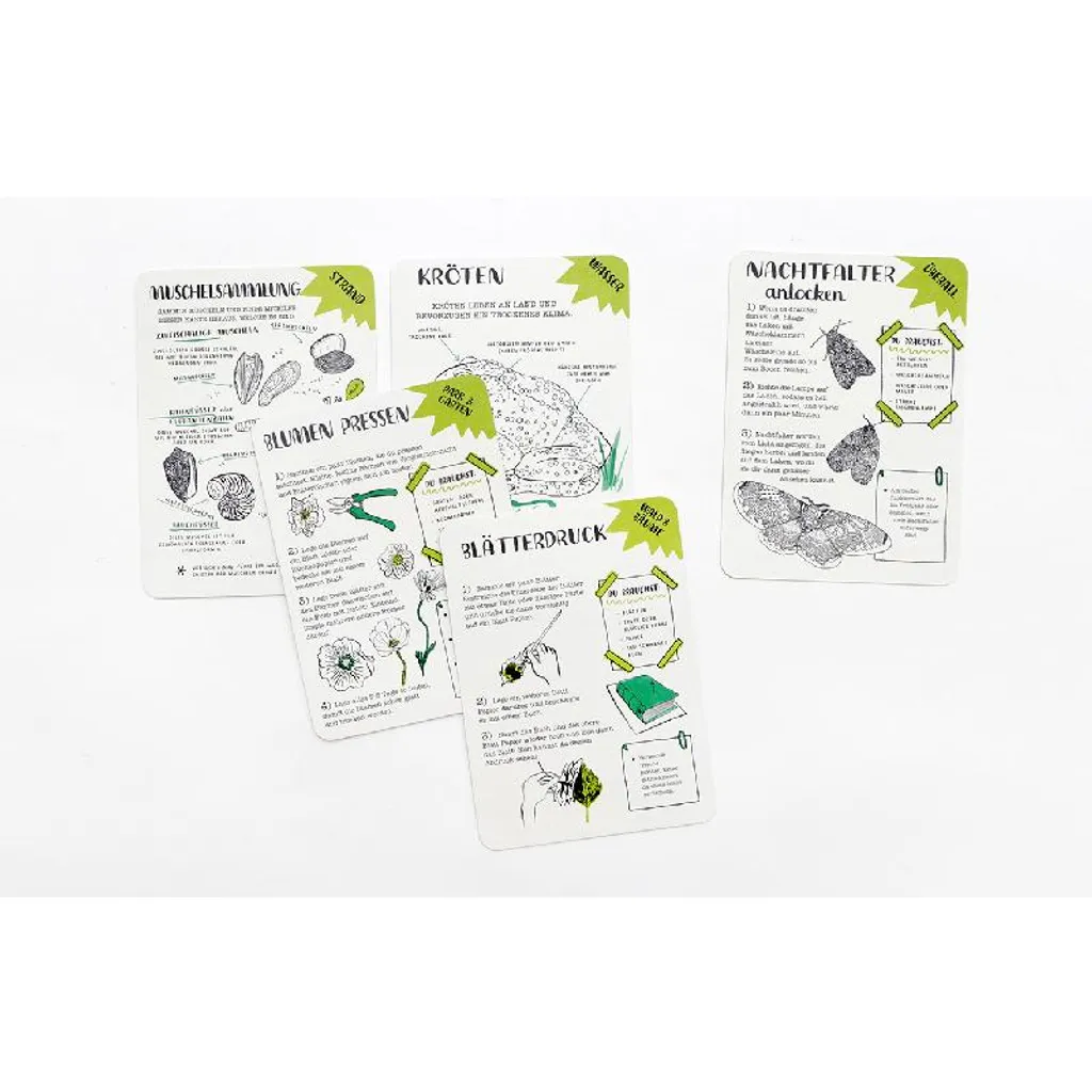 Cartes Hello Nature illustrées : kit d'exploration ludique et durable - 6