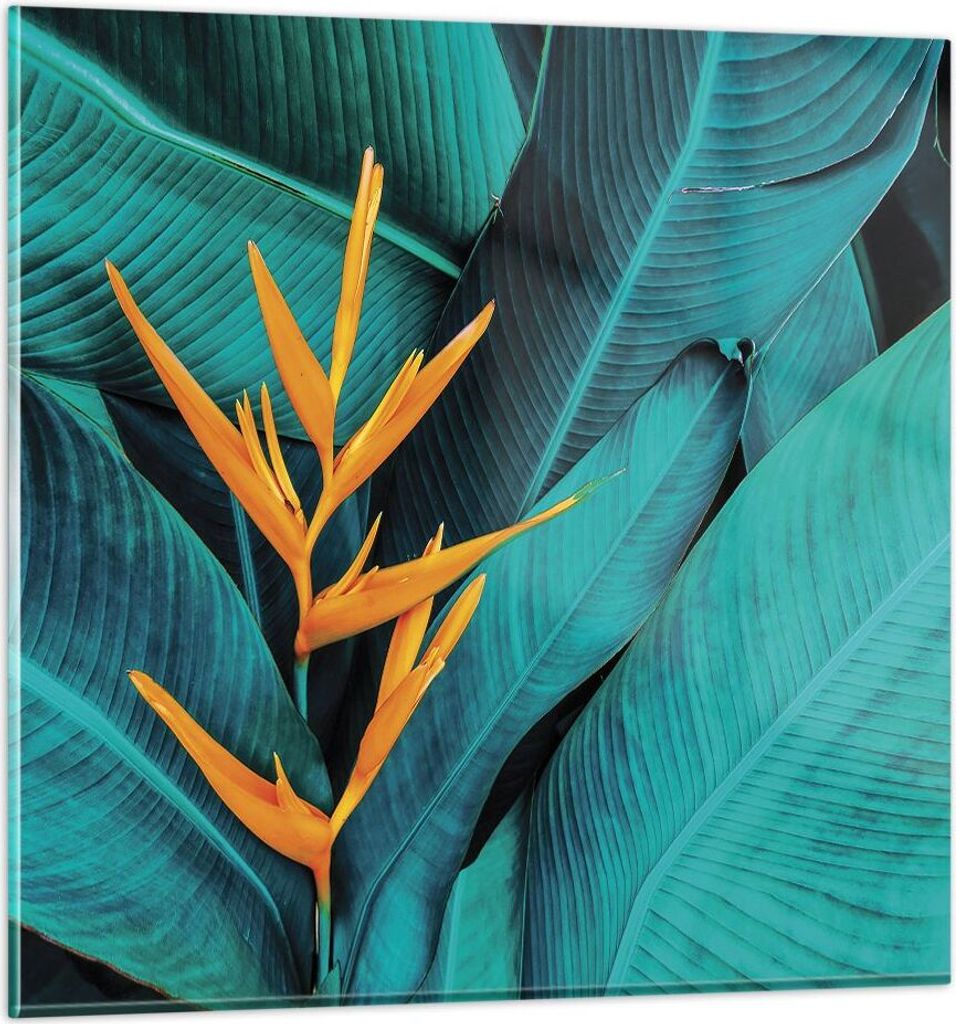 Bilder auf glas - Einteilig - Blumen Tropen Blätter - 60x60cm - Glasbilder - Wandbilder - Bilder - zum Aufhängen bereit - Wanddekoration aus Glas...