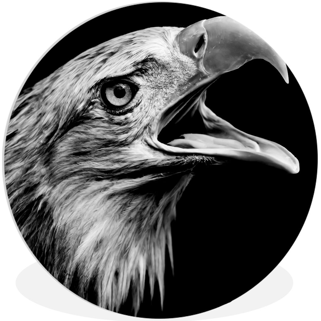MuchoWow Rundes Wandbild - Runde Bilder Adler - Porträt - Raubvögel - Schwarz - Weiß - Vogel Ø 30 cm Kreis Wanddekoration Kunststoff - Wandkr...
