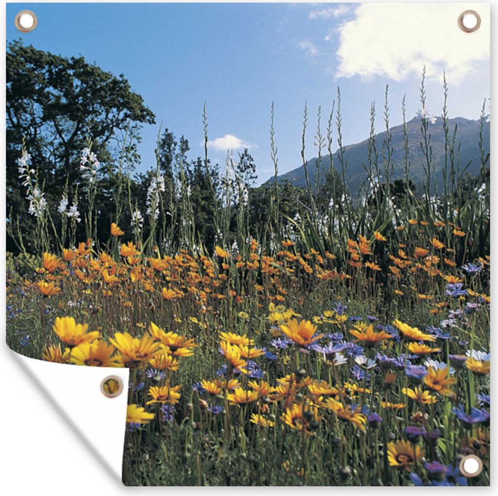 MuchoWow 50x50 cm Outdoor-Poster Gartendeko Sichtschutz Garten Poster für den Garten Blumen - Natur - Farbe