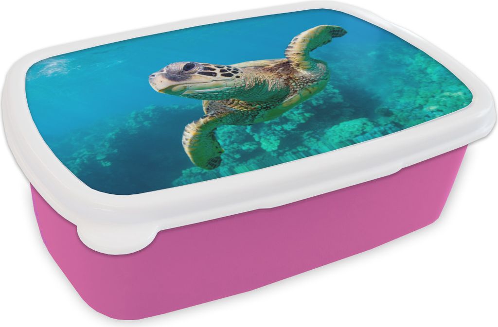 KitchenYeah Lunchbox Brotzeit Brotdose 17x11 cm Eine Schildkröte schwimmt durch das Korallenriff vor Hawaii Kinder Brotzeitdose - Lunchpaket - B...