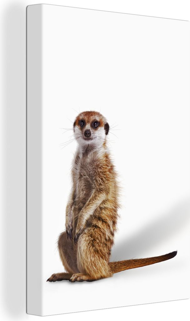 OneMillionCanvasses - Leinwandbilder - 90x140 cm, Erdmännchen - Tiere - Fell, Wandbilder Kunstdruck Wanddekoration - Wandschmucke - Schlafzimmer