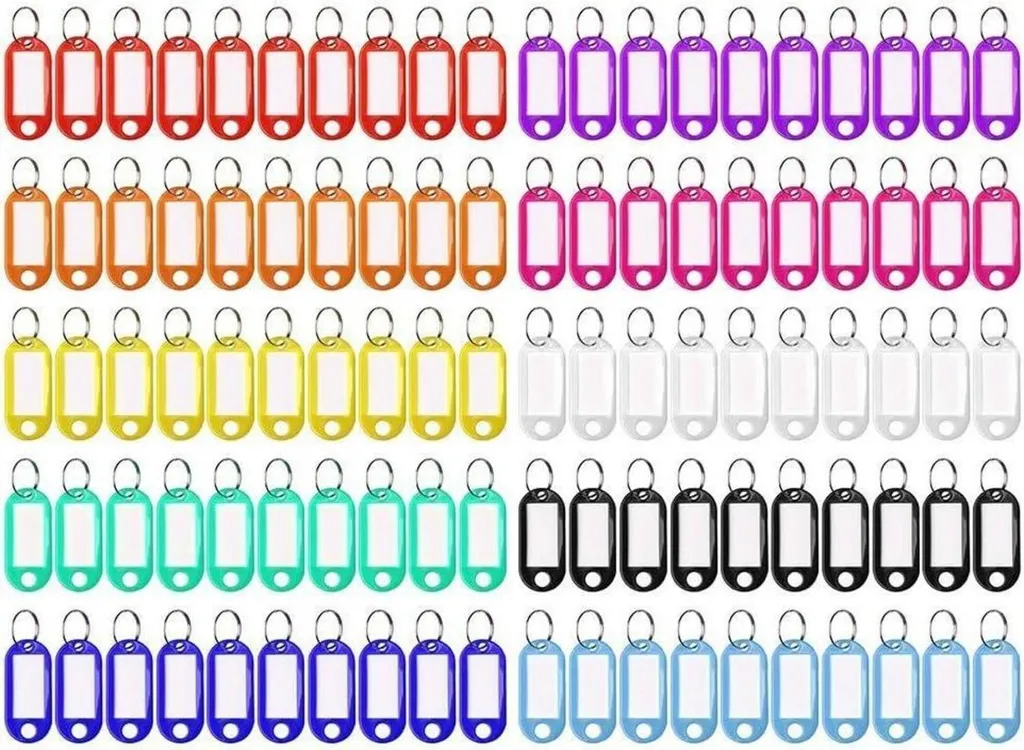 Lot de 100 Porte-clés Inscriptibles en Plastique avec 10 Coloris Variés