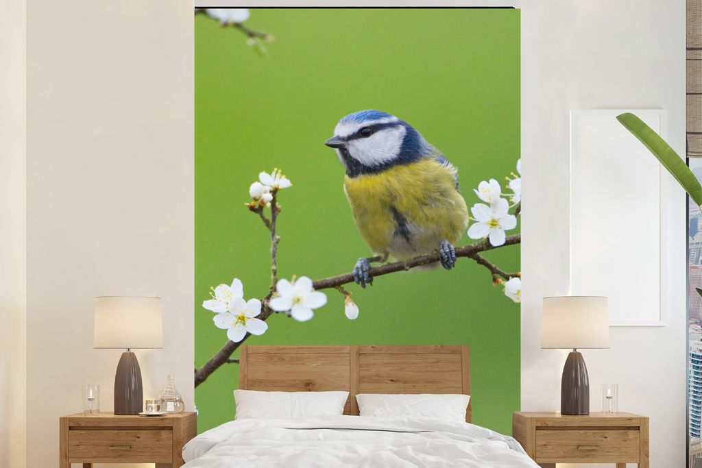 MuchoWow Fototapete für Wohnzimmer oder Schlafzimmer Wandtapete Vinyl Motivtapete Blaumeise - Zweig - Blumen - Blühende Zweige - Vogel - 155x24...
