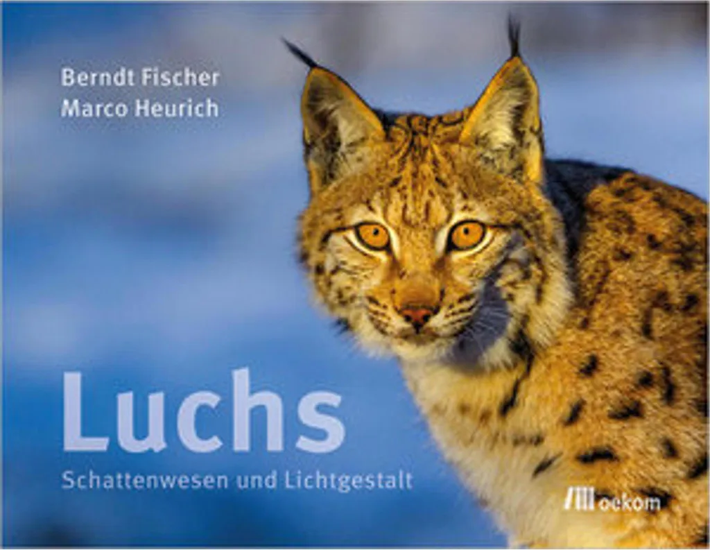 Jumelles Luchs 8x42 Haute Définition avec Prismes en Toit pour Nature