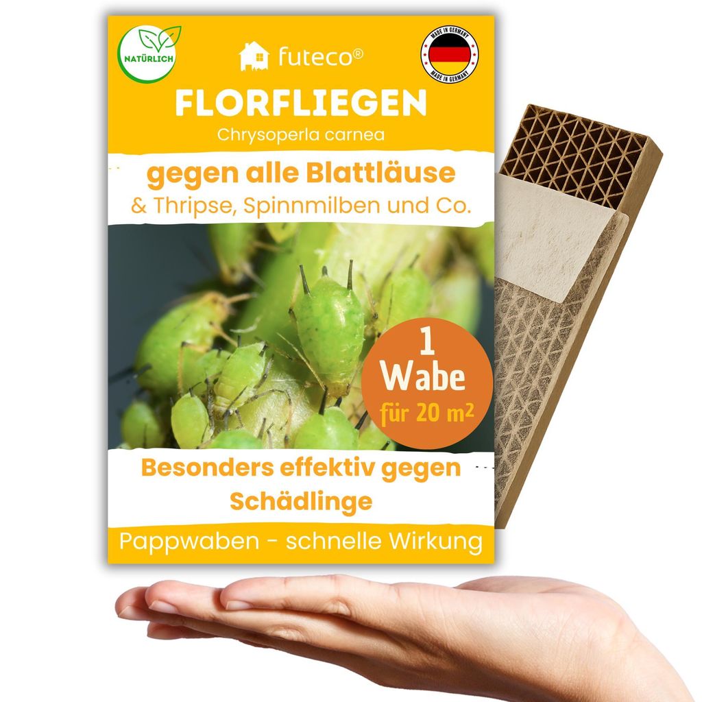 Florfliegenlarven gegen Blattläuse, Spinnmilben, Thripse & Produktbild 