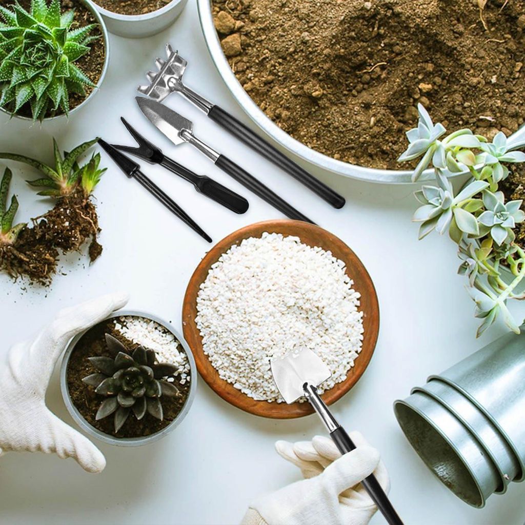 Allecto Premium - Bonsai-Werkzeugset für Zimmerpflanzen und professionelles Gärtnern - Mini-Werkzeug für Bonsai-Anfänger mit Gartenarbeit