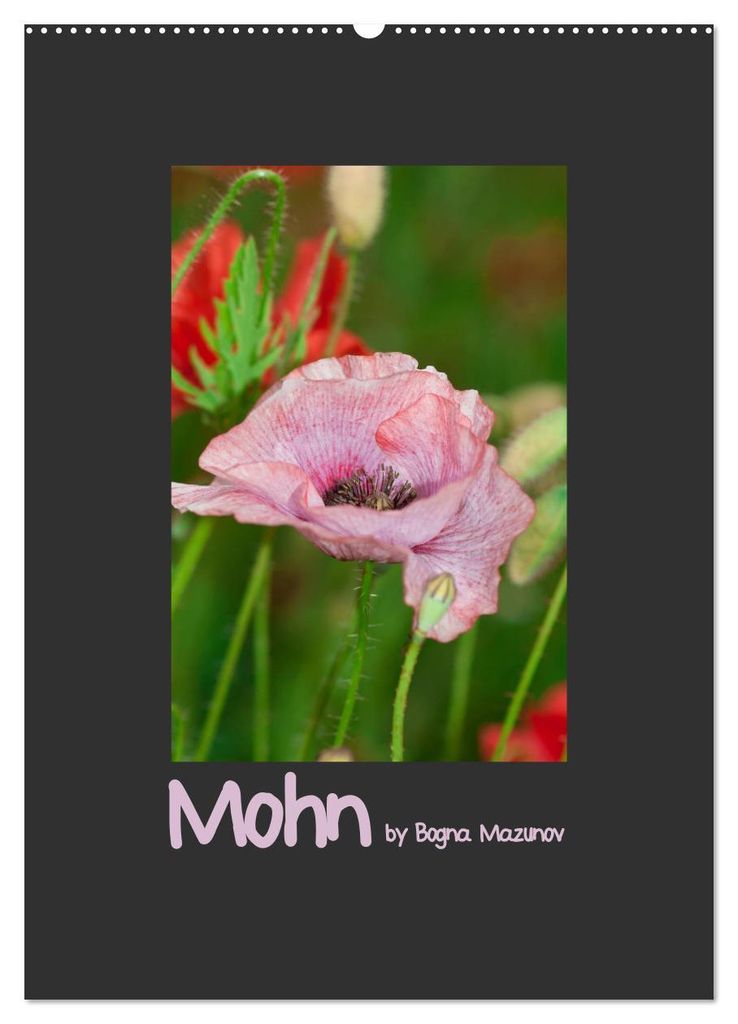 Mohn (Wandkalender 2027 DIN A2 hoch), CALVENDO Monatskalender