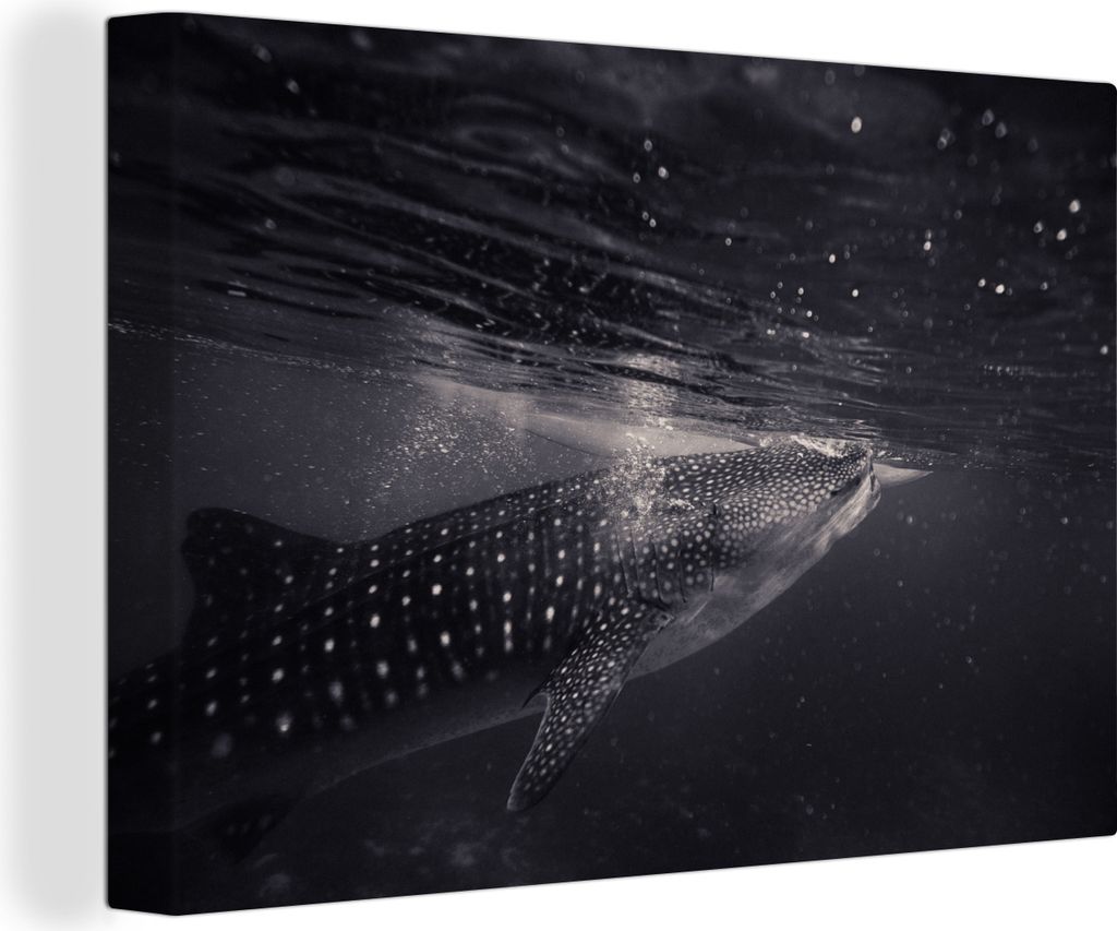 OneMillionCanvasses - Leinwandbilder - 140x90 cm, Meerestiere - Tigerhai - Schwarz und weiß, Wandbilder Kunstdruck Wanddekoration