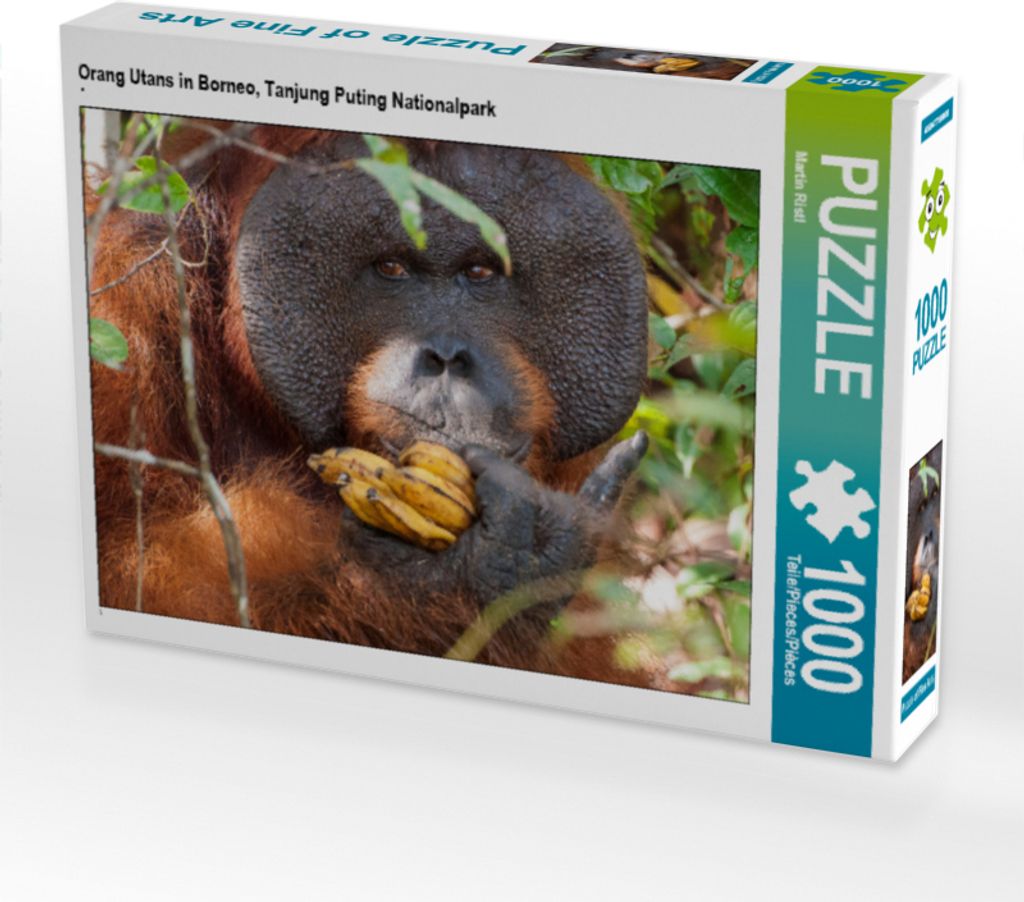 CALVENDO Puzzle Orang Utans in Borneo, Tanjung Puting Nationalpark | 1000 Teile Lege-Größe 64x48cm Foto-Puzzle für glückliche Stunden