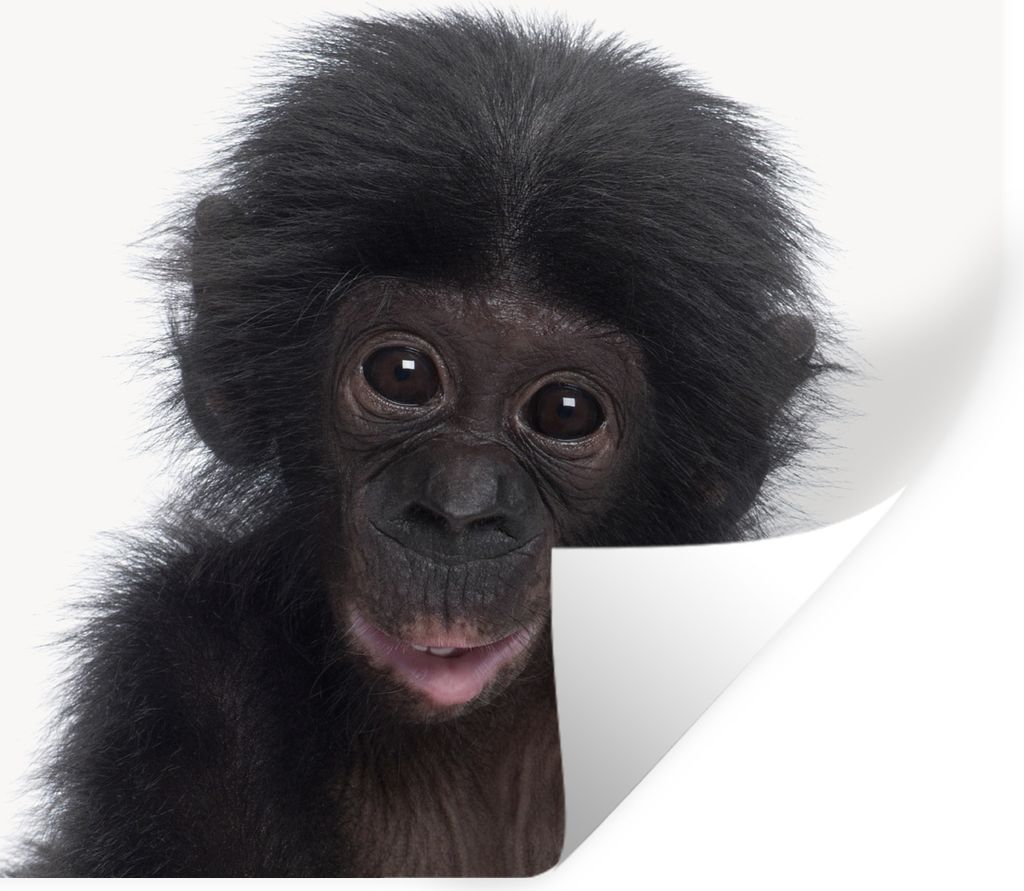 MuchoWow - Selbstklebend - Fototapeten