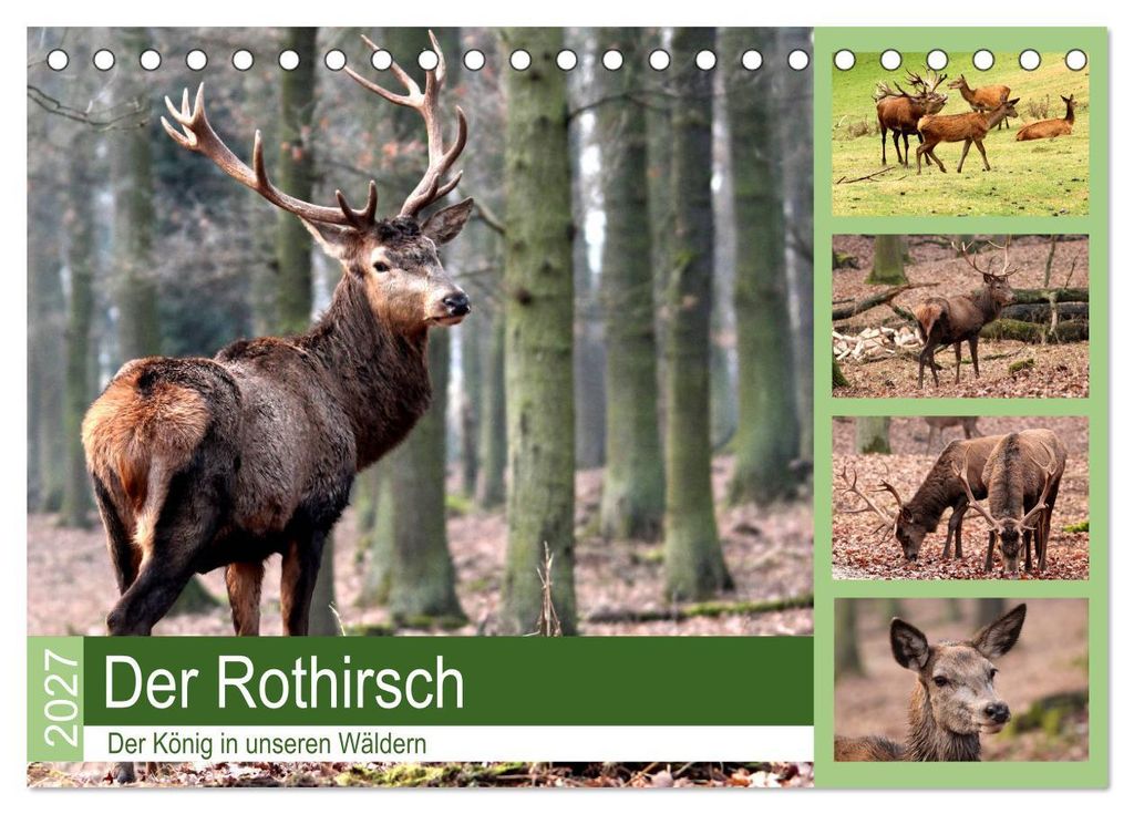 Der Rothirsch - Der König in unseren Wäldern (Tischkalender 2027 DIN A5 quer), CALVENDO Monatskalender