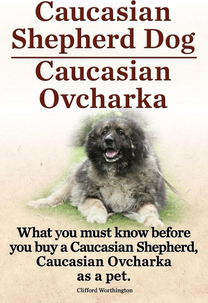 Caucasian Shepherd Dog. Caucasian Ovcharka. What You Must Know Before You Buy a Caucasian Shepherd Dog, Caucasian Ovcharka as a Pet.