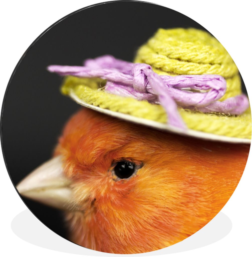 MuchoWow Aluminium Wandkreis Vogel - Hut - Orange Ø 30 cm Wanddeko Modern Wohnzimmer - Wand Bild - Wohnzimmer - Runde Bilder - Alubilder - Kunst...