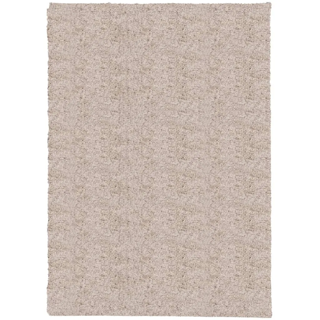 Tapis Shaggy PAMPLONA Beige 200x280 cm - Tapis Salon à Poils Longs