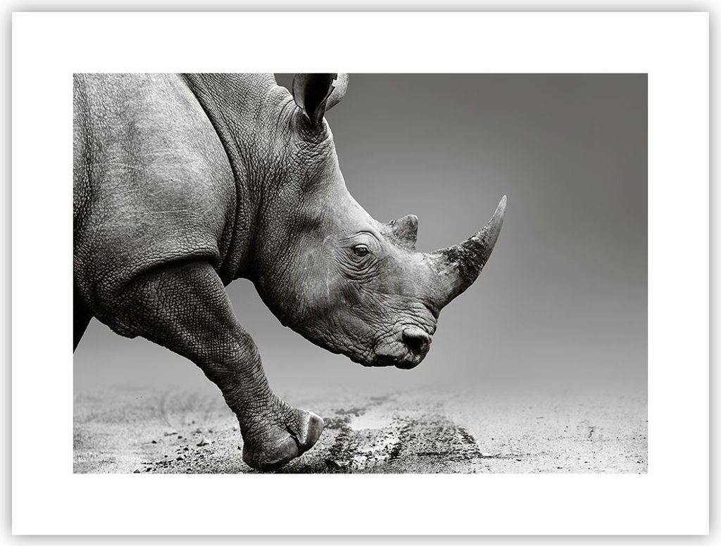 Poster - Poster ohne Rahmen - Nashorn Monochrom Tier - 40x30 cm - Wand Bild - Wanddeko - Wandbilder - Kunstposter - Wandposter - Bilder - Kunstdruc...