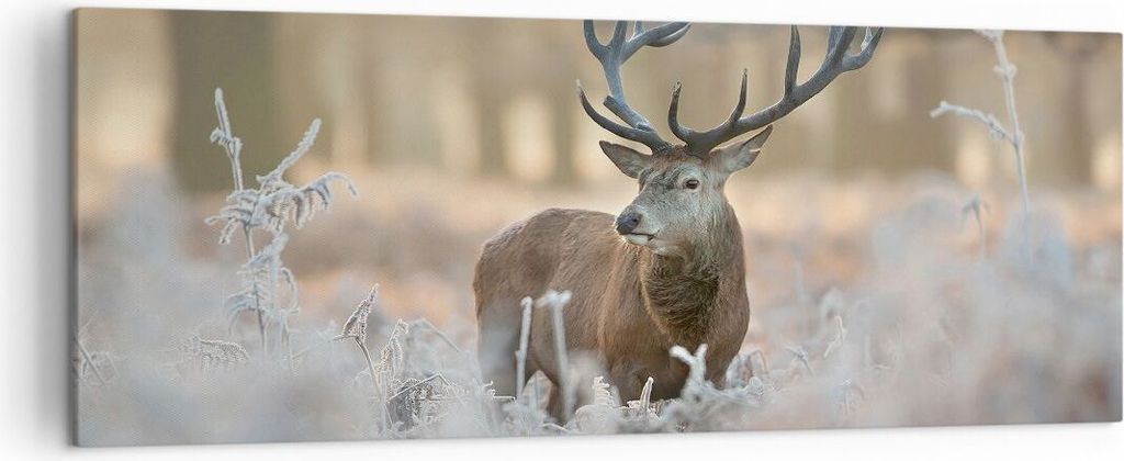 Bild auf Leinwand - Leinwandbild - Hirsch Wald Natur - 140x50cm - Wand Bild - Wanddeko - Wandbilder - Leinwanddruck - Bilder - Kunstdruck - Wanddek...