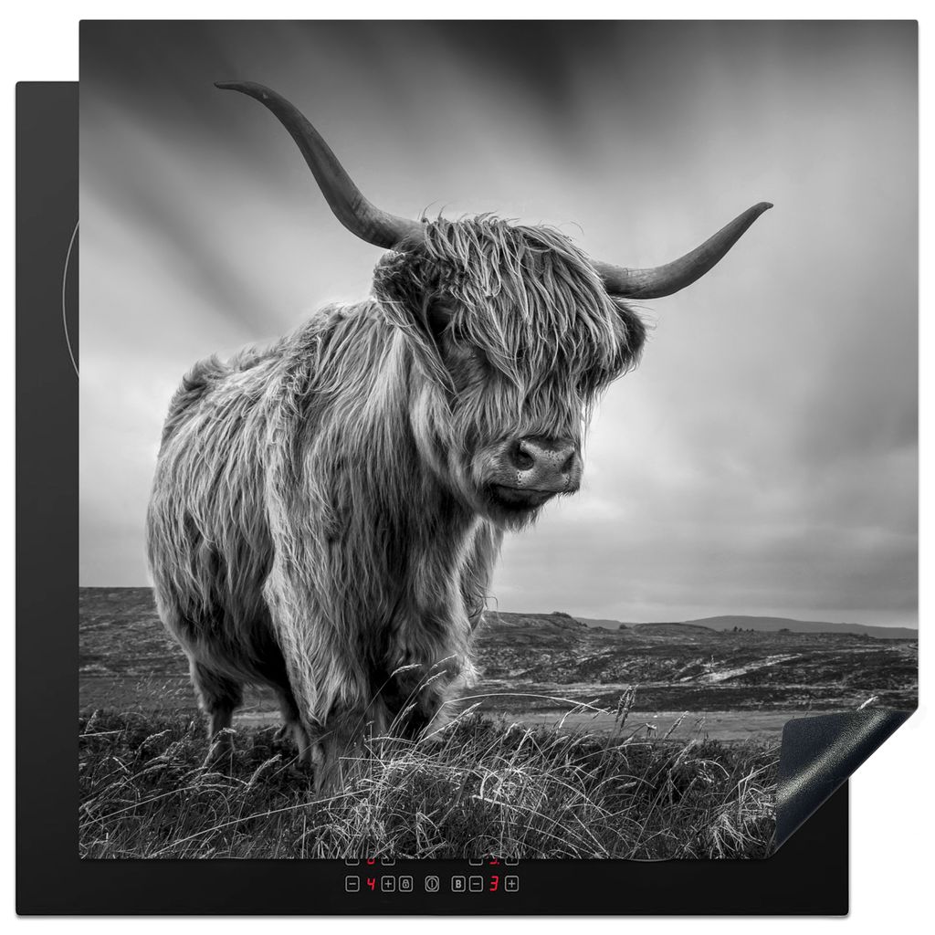 KitchenYeah Herdabdeckplatte Kühe - Schottische Hochlandkühe - Natur - Tiere - Schwarz und weiß , 78x78cm, Küche Deko, Glaskeramikkochfeld He...
