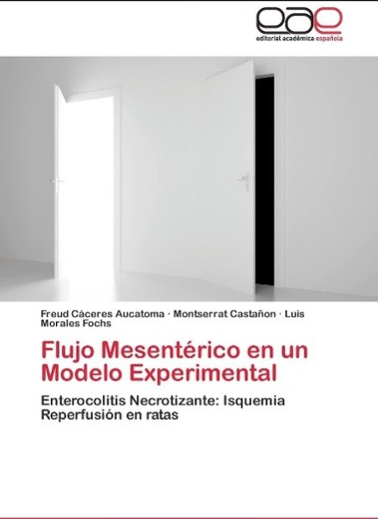 Flujo Mesentérico en un Modelo Experimental
