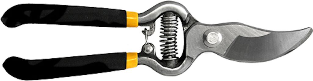 PROREGAL Gartenschere 200mm Beach Pro