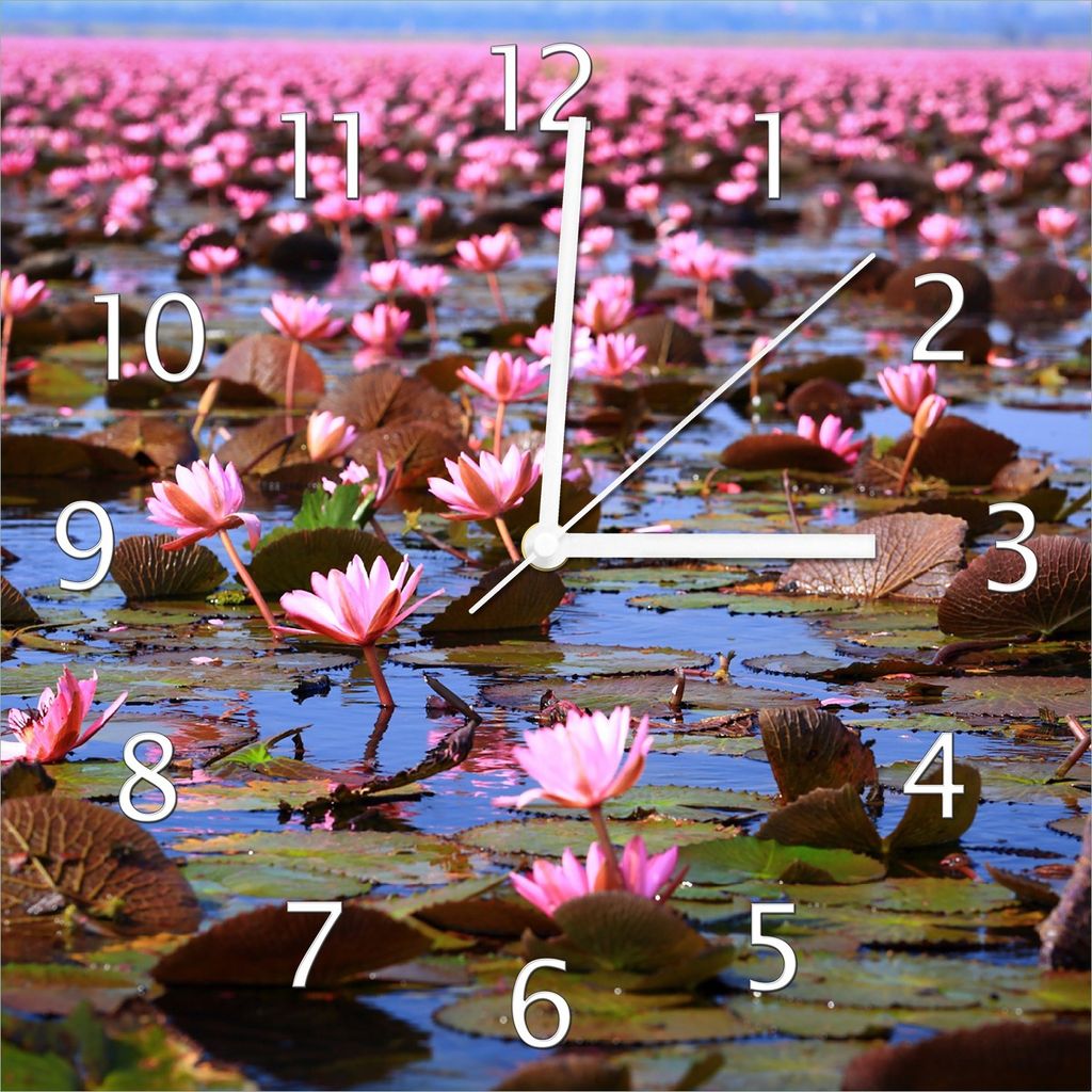 Wallario Design Wanduhr Seerosenlandschaft mit rosa Blüten aus Echtglas, Größe 30 x 30 cm
