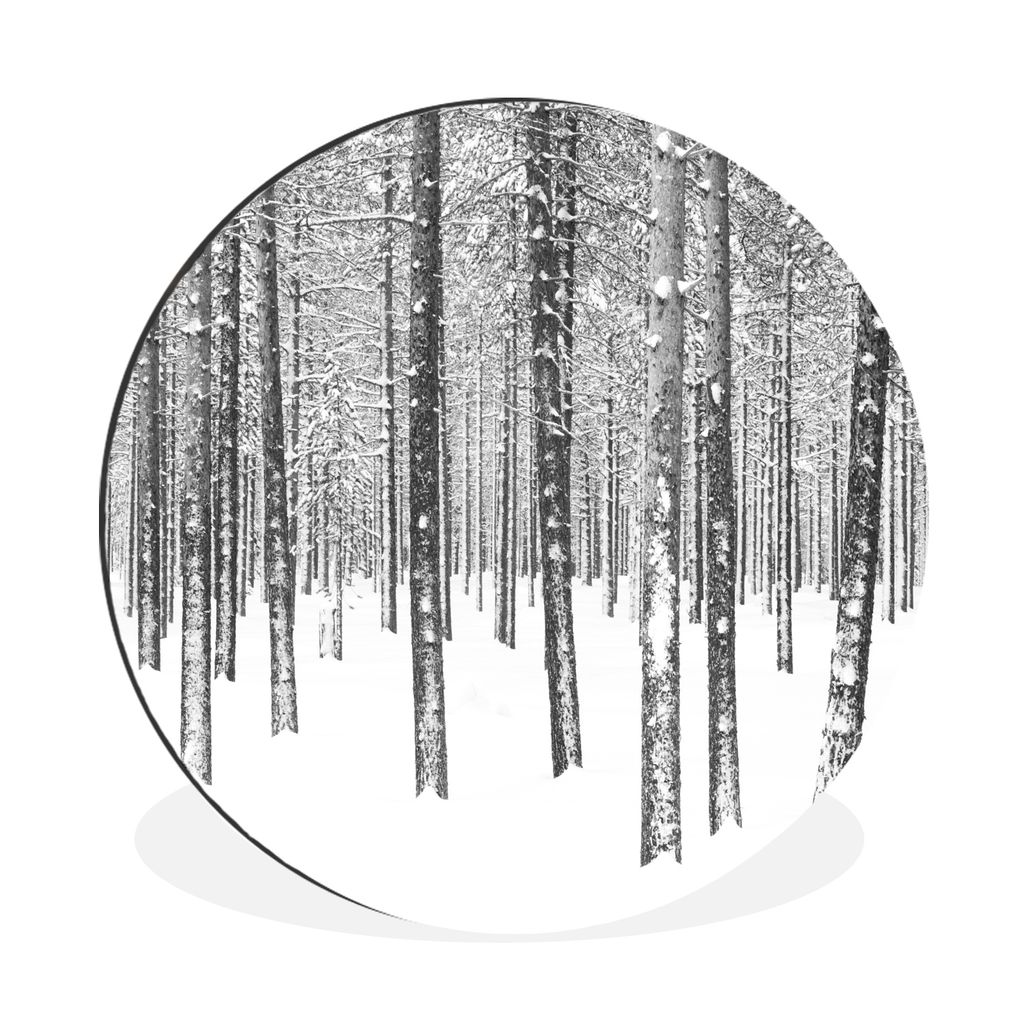 MuchoWow Aluminium Wandkreis Tannenbäume im Schnee Ø 90 cm Wanddeko Modern Wohnzimmer - Mauerkreis - Wandbilder - Runde Bild - Bild aus Alumini...