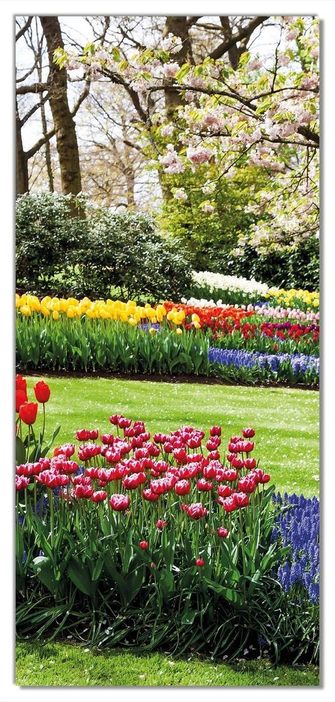 Wallario selbstklebende Türtapete 93 x 205 cm - Bunte Blumen und Kirsch-Baum im Park blühen im Frühling - Abwischbar, rückstandsfrei zu entfernen