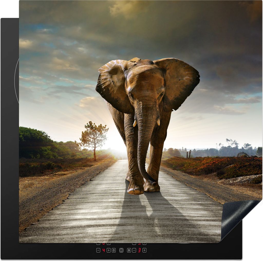 KitchenYeah Herdabdeckplatte Elefant - Straße - Tiere - Sonnenuntergang - Landschaft , 78x78cm, Küche Deko, Glaskeramikkochfeld Herdabdeckung, ...