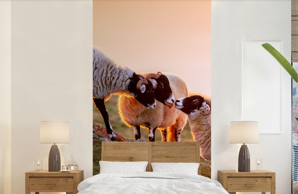 MuchoWow Fototapete für Wohnzimmer oder Schlafzimmer Wandtapete Vinyl Motivtapete Schafe - Tiere - Sonnenuntergang - 120x240 cm - Hintergrundbild