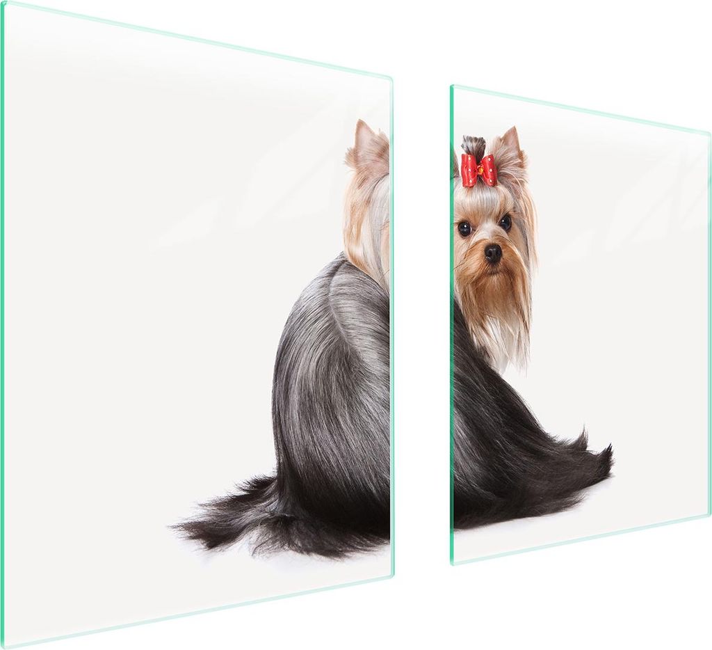 Glasschutzplatte Für Herd 85X52 Hund