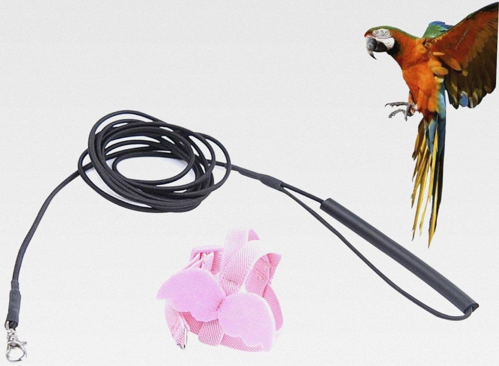 Parrot Harness mit Verstellbarem Elastischem Fluggeschirr für Vögel und Papageien Langlebiges Brustgeschirr mit Süßen Engelsflügeln Sicherer S...