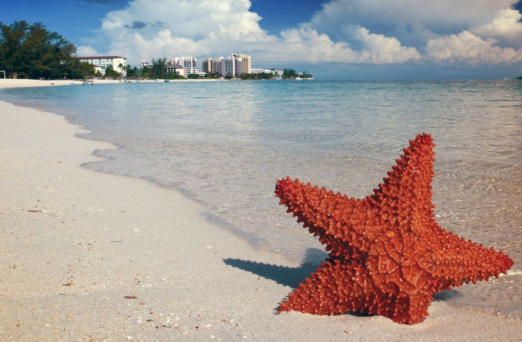 hansepuzzle 39549 - Bahamas Puzzle, 500 Teile, Reisen, 46,0 x 30,0cm mit hochwertiger Aufbewahrung, Kartonbox und wiederverschließbarem Beutel