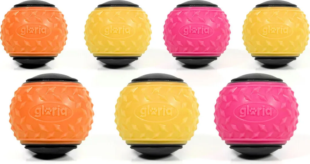 Jouet pour chien Gloria Coloré TPR 24 pièces - Set de balles résistantes