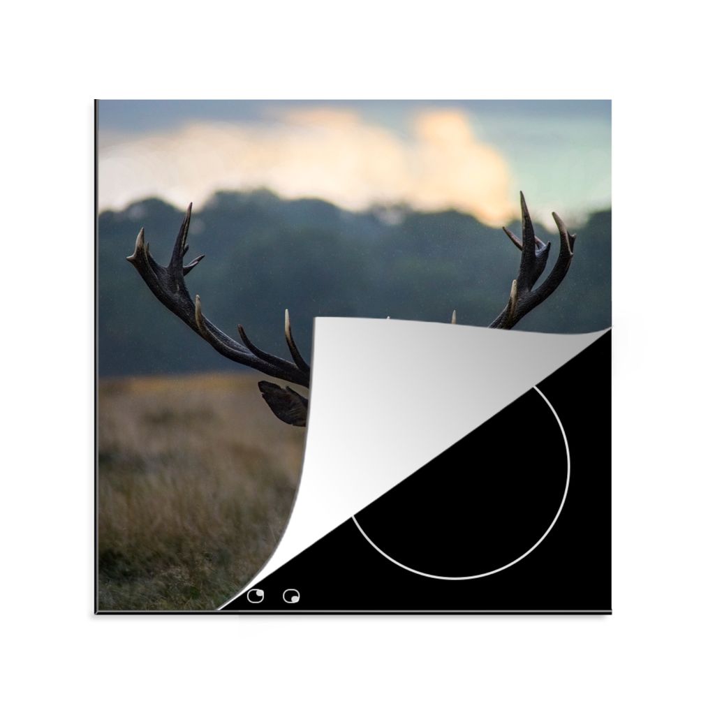 KitchenYeah Herdabdeckplatte Hirsch - Wiese - Geweih , 78x78cm, Küche Deko, Glaskeramikkochfeld Herdabdeckung, Abdeckplatte fùr Kochfeld