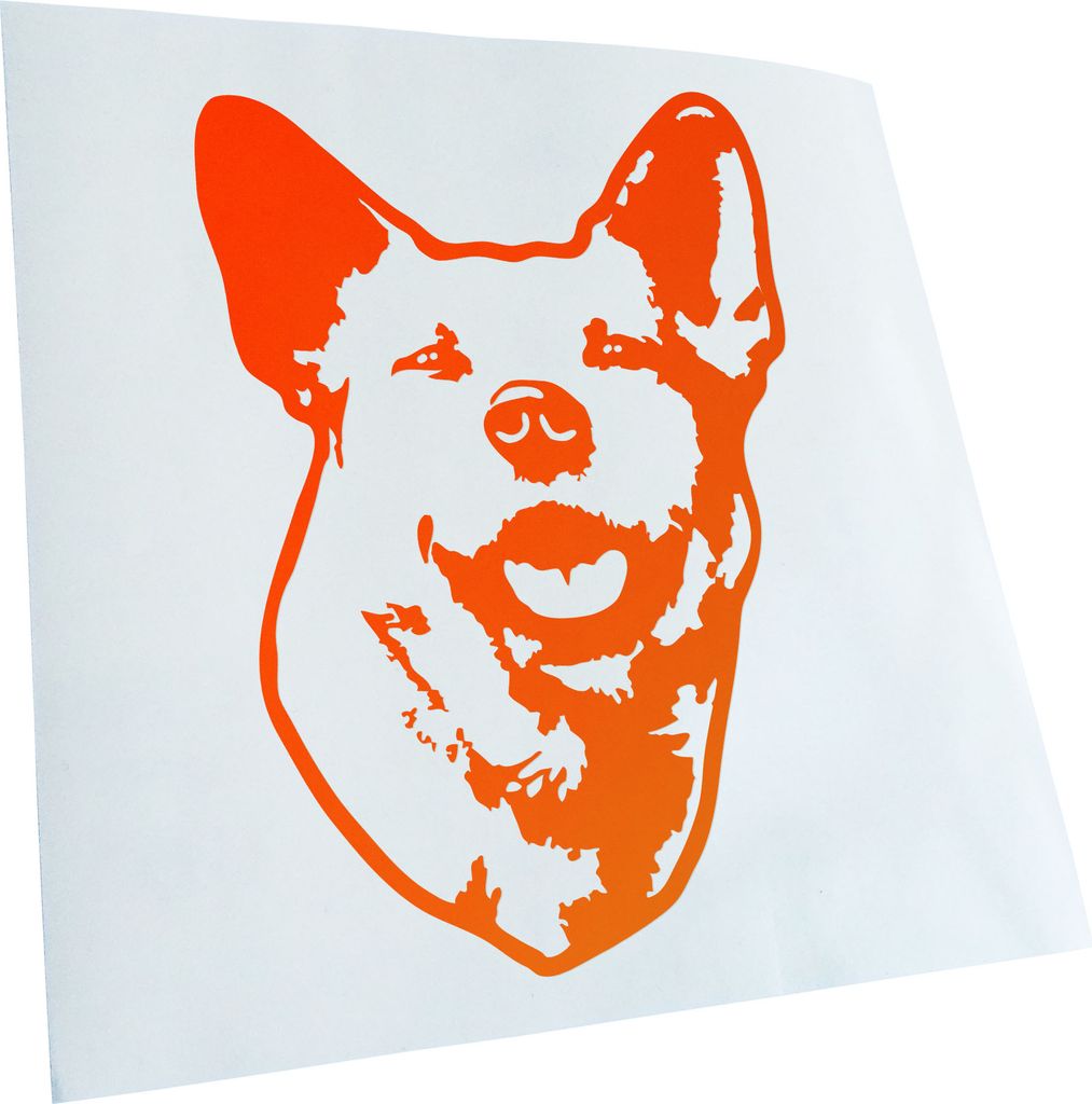 Kiwistar - Autoaufkleber - Australian Cattle Dog Hund - Neonorange - 50x36cm - Aufkleber für Auto, Laptop, Fahrrad, LKW, Motorrad mehrfarbig JDM D...