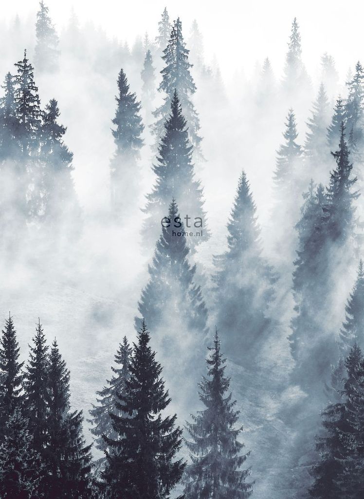 ESTAhome Fototapete nebliger Wald Grün 186 x 279 cm