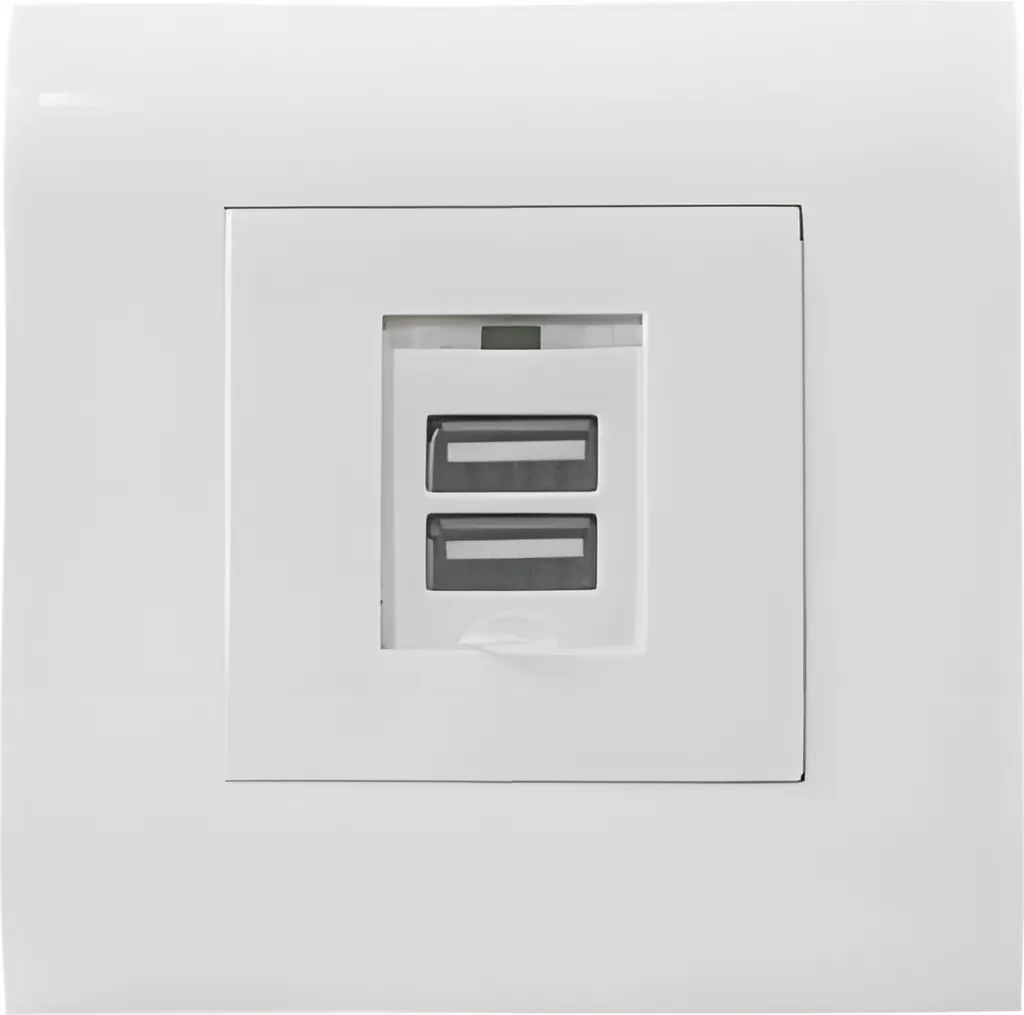 Prise USB Murale Double 2.1A Haute Performance avec Plaque de Finition