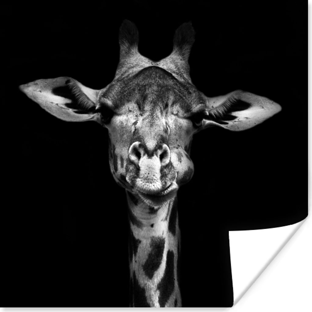 MuchoWow Poster Giraffe - Porträt - Tiere - Schwarz - Weiß 30x30 cm - Wandposter - Printing