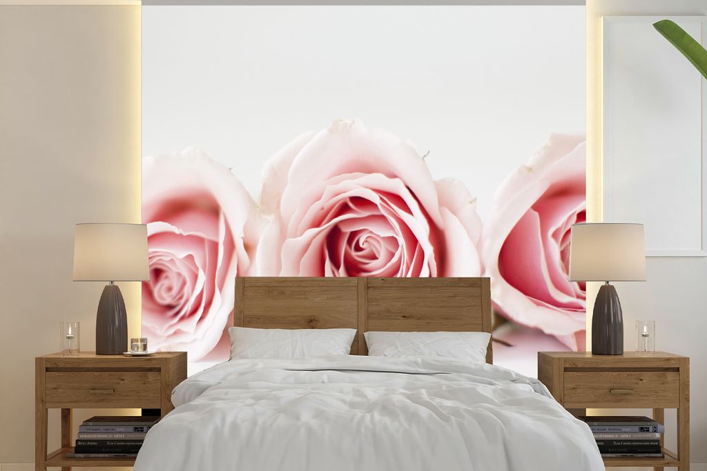 MuchoWow Fototapete für Wohnzimmer oder Schlafzimmer Wandtapete Vinyl Motivtapete Studioaufnahme von drei rosa Rosen nebeneinander - 220x220 cm ...